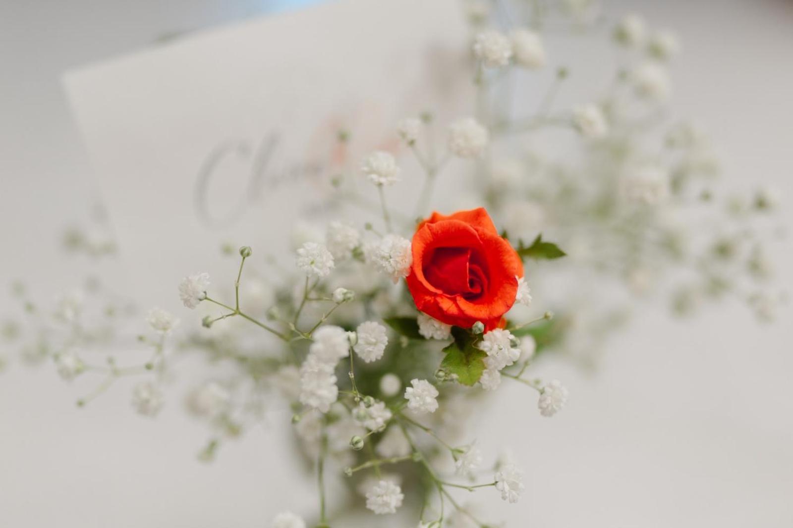 מטרה Claire Rose B&B מראה חיצוני תמונה